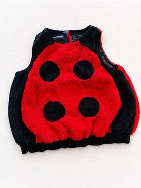 Toddler Ladybug Halloween Costume 12–24 Months Red Black Plush Fuzzy